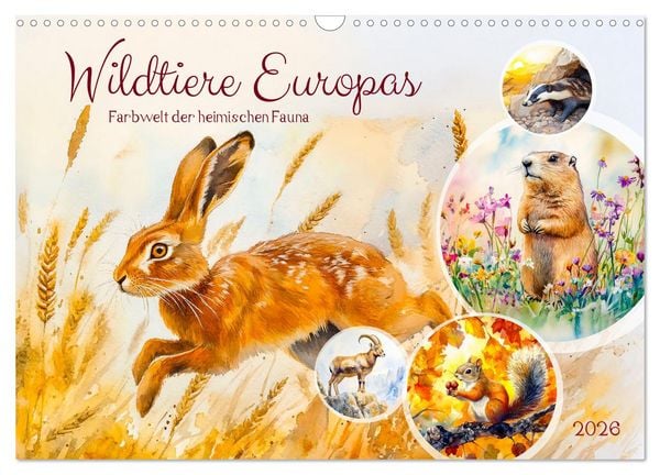 Wildtiere Europas - Farbwelt der heimischen Fauna (Wandkalender 2026 DIN A3 quer), CALVENDO Monatskalender
