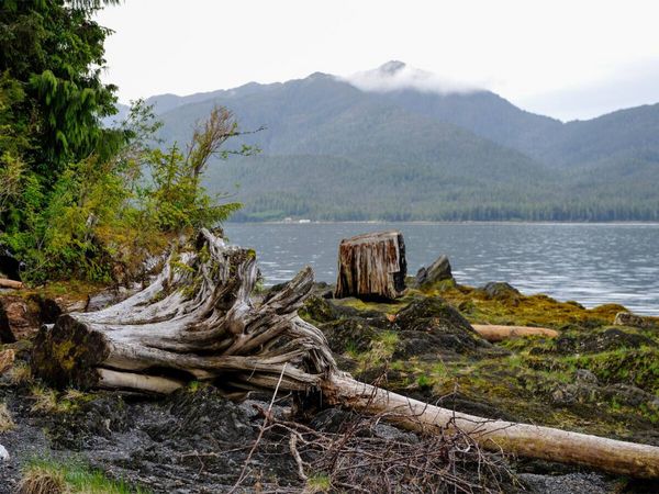 Produktbild: CALVENDO Puzzle Nahe Ketchikan Alaska USA | 1000 Teile Lege-Gr&ouml;&szlig;e 64x48cm Foto-Puzzle f&uuml;r gl&uuml;ckliche Stunden