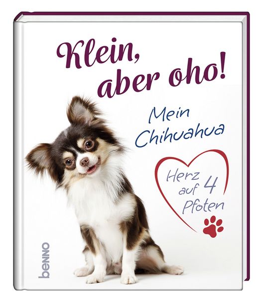 Klein, aber oho!, Gebundene Ausgabe von , St. Benno, 978-3-7462-6723-4