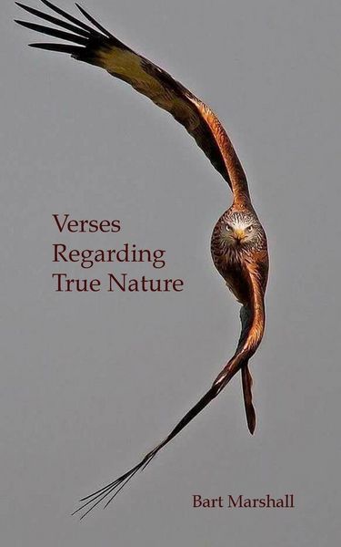 Produktbild: Verses Regarding True Nature