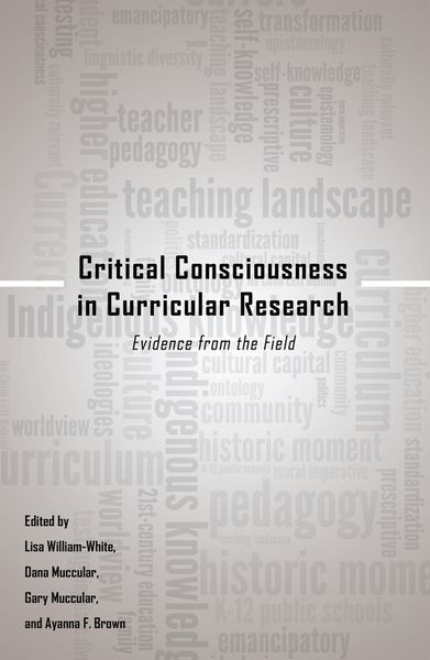 Produktbild: Critical Consciousness in Curricular Research