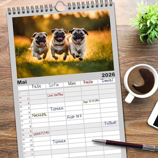 Produktbild: Familienplaner 2026 - M&ouml;pse - quirlige Charmebolzen mit 5 Spalten (Wandkalender, 21 x 45 cm) CALVENDO
