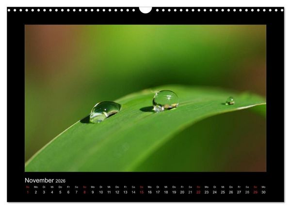Produktbild: Meine kleine gr&uuml;ne Wassertropfen Welt (Wandkalender 2026 DIN A3 quer), CALVENDO Monatskalender