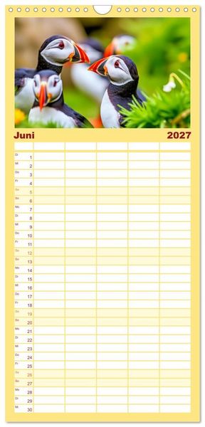 Produktbild: Familienplaner 2027 - Tieftaucher Papageitaucher mit 5 Spalten (Wandkalender, 21 x 45 cm) CALVENDO
