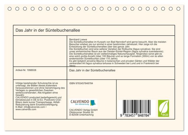 Produktbild: Das Jahr in der S&uuml;ntelbuchenallee (Tischkalender 2026 DIN A5 quer), CALVENDO Monatskalender