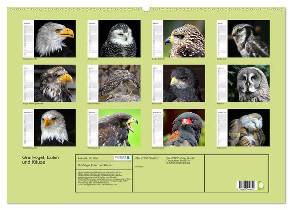 Produktbild: Greifv&ouml;gel, Eulen und K&auml;uze (Wandkalender 2026 DIN A2 quer), CALVENDO Monatskalender