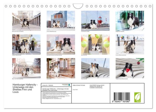Produktbild: Hamburger Hafencity - Unterwegs mit den Shelties Finn und Louis (Wandkalender 2026 DIN A4 quer), CALVENDO Monatskalender