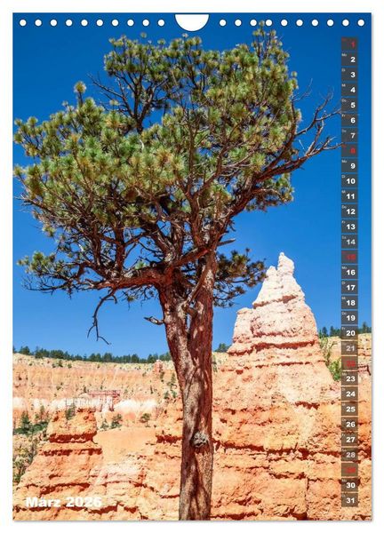Produktbild: BRYCE CANYON Natur Pur (Wandkalender 2026 DIN A4 hoch), CALVENDO Monatskalender