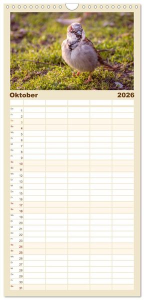 Produktbild: Familienplaner 2026 - Spatzen mit 5 Spalten (Wandkalender, 21 x 45 cm) CALVENDO