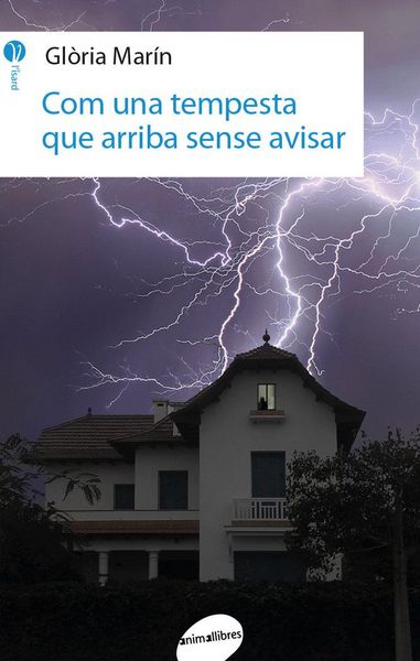 Produktbild: Com una tempesta que arriba sense avisar