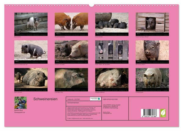 Produktbild: Schweinereien (hochwertiger Premium Wandkalender 2026 DIN A2 quer), Kunstdruck in Hochglanz
