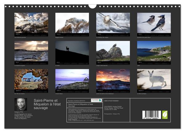 Produktbild: Saint-Pierre et Miquelon &agrave; l'&eacute;tat sauvage (Calendrier mural 2026 DIN A3 vertical), CALVENDO calendrier mensuel