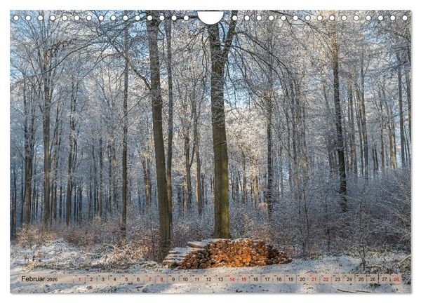 Produktbild: Impressionen aus Mecklenburg - Vorpommern (Wandkalender 2026 DIN A4 quer), CALVENDO Monatskalender