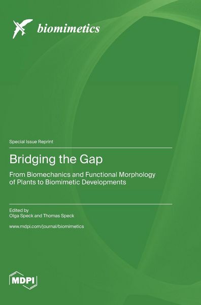 Produktbild: Bridging the Gap
