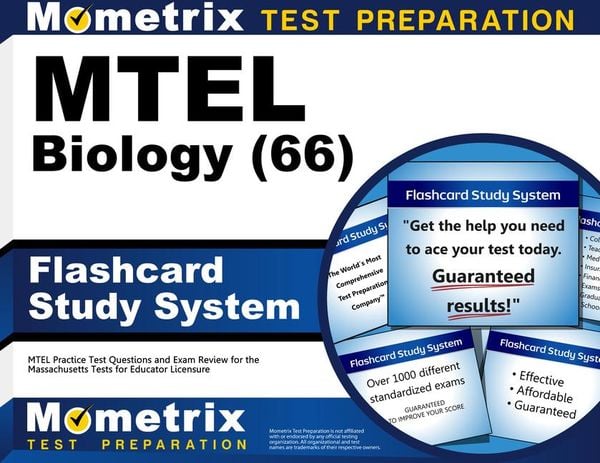 Produktbild: MTEL Biology (66) Flashcard Study System