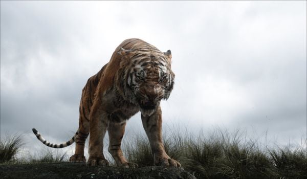 Produktbild: The Jungle Book (4K Ultra HD) (+ Blu-ray 2D)