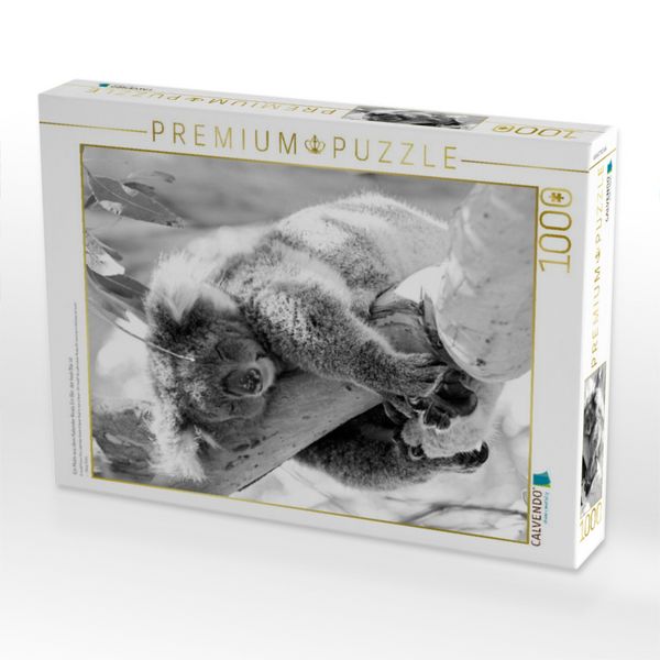Produktbild: CALVENDO Puzzle Ein Motiv aus dem Kalender Koala Ein B&auml;r, der kein B&auml;r ist | 1000 Teile Lege-Gr&ouml;&szlig;e 64x48cm Foto-Puzzle f&uuml;r gl&uuml;ckliche Stunden