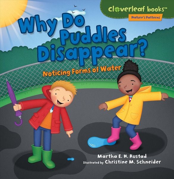 Produktbild: Why Do Puddles Disappear