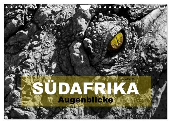 Produktbild: S&Uuml;DAFRIKA Augenblicke (Wandkalender 2026 DIN A4 quer), CALVENDO Monatskalender