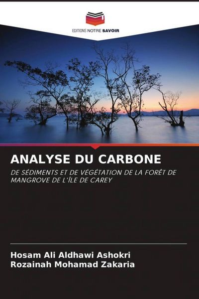 Produktbild: ANALYSE DU CARBONE