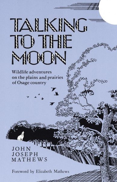 Produktbild: Talking to the Moon
