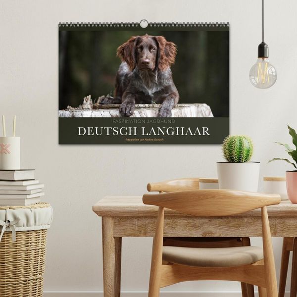 Produktbild: Faszination Jagdhund - Deutsch Langhaar (Wandkalender 2026 DIN A3 quer), CALVENDO Monatskalender