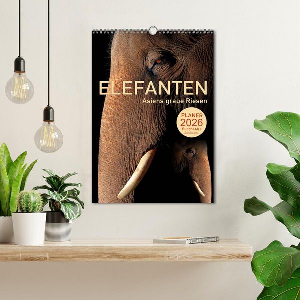 Produktbild: ELEFANTEN - Asiens graue Riesen (Wandkalender 2026 DIN A3 hoch), CALVENDO Monatskalender