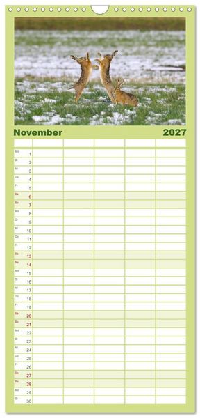 Produktbild: Familienplaner 2027 - Feldhasen in H&ouml;chstform mit 5 Spalten (Wandkalender, 21 x 45 cm) CALVENDO