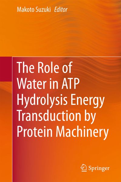 Produktbild: The Role of Water in ATP Hydrolysis Energy Transduction by Protein Machinery
