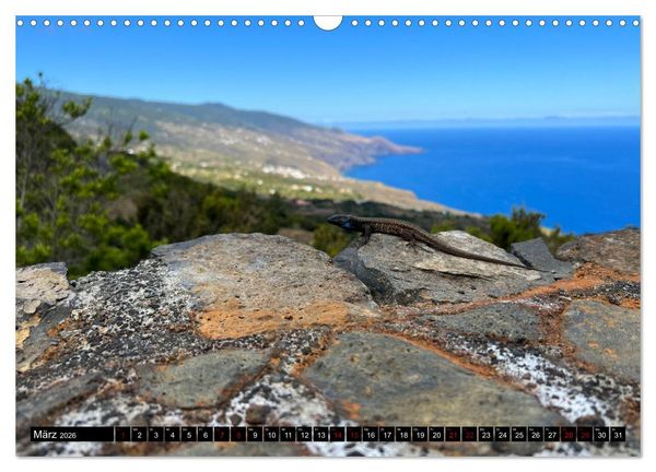 Produktbild: La Palma - Eine Reise &uuml;ber die La Isla Bonita (Wandkalender 2026 DIN A3 quer), CALVENDO Monatskalender