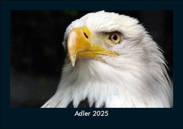 Produktbild: Adler 2025 Fotokalender DIN A5