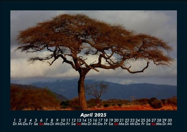 Produktbild: Natur 2025 Fotokalender DIN A5