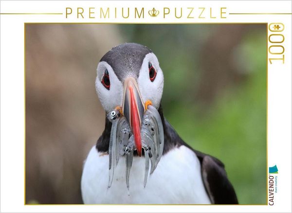 CALVENDO Puzzle Guter Fang | 1000 Teile Lege-Größe 64x48cm Foto-Puzzle für glückliche Stunden