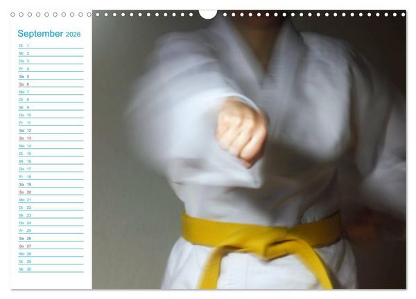 Produktbild: Kampfsport (Wandkalender 2026 DIN A3 quer), CALVENDO Monatskalender