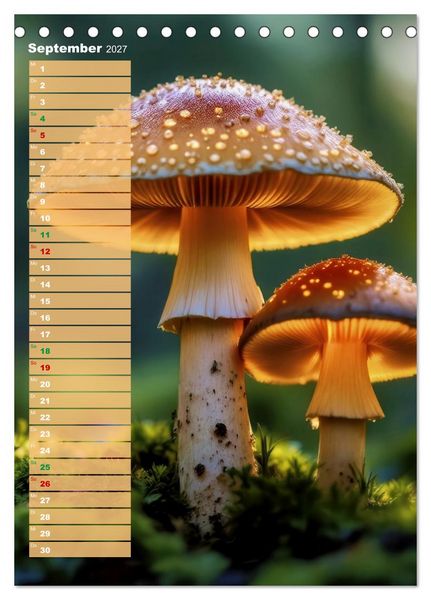 Produktbild: Bunte Farben der Natur (Tischkalender 2027 DIN A5 hoch), CALVENDO Monatskalender