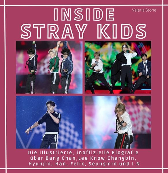 Produktbild: Inside Stray Kids
