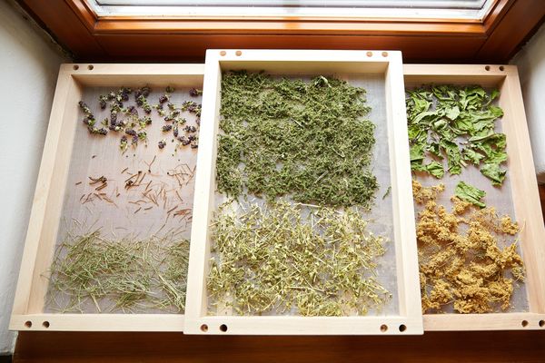 Produktbild: Gesunde Wildkr&auml;uter aus meinem Garten