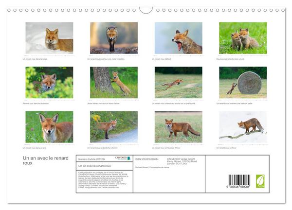 Produktbild: Un an avec le renard roux (Calendrier mural 2026 DIN A3 vertical), CALVENDO calendrier mensuel