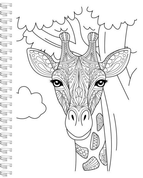 Produktbild: Mein Tierisches Mandala Malbuch