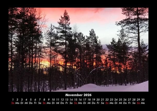 Produktbild: B&auml;ume 2026 Fotokalender DIN A3