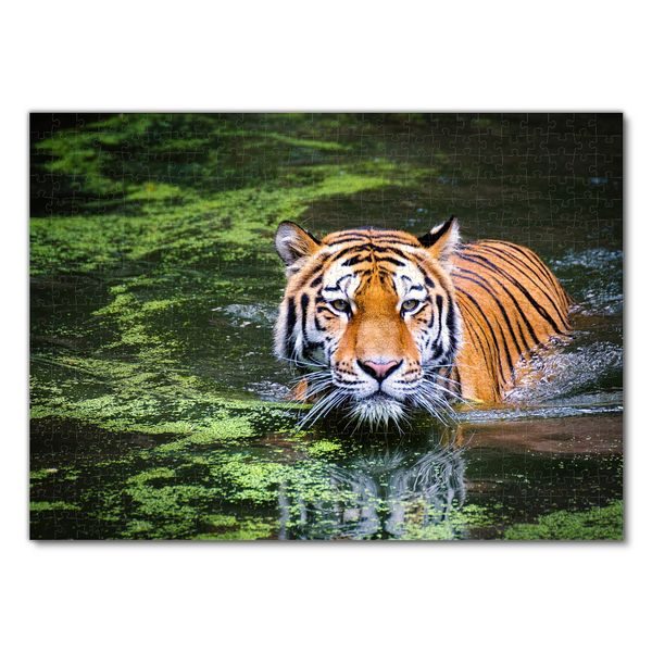 Produktbild: Lais Puzzle Tiger 500 Teile