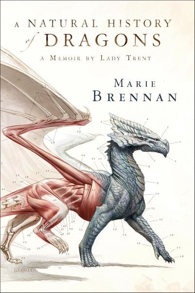 Produktbild: A Natural History of Dragons