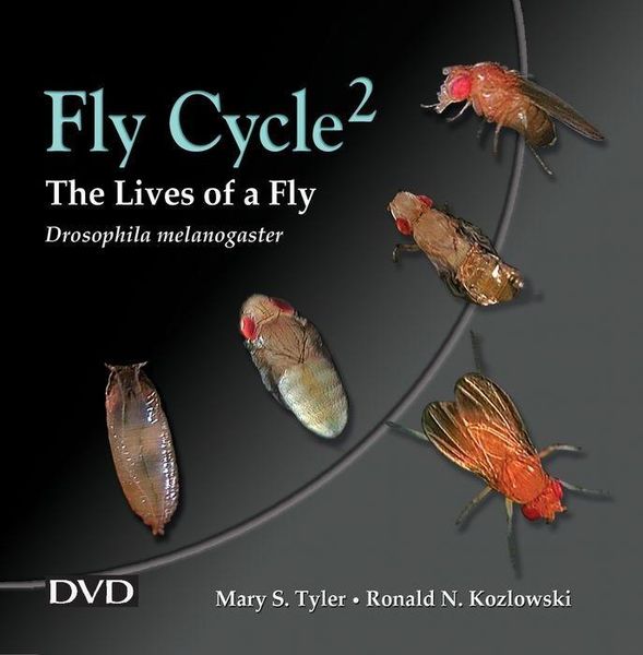 Produktbild: Tyler, M: Fly Cycle 2