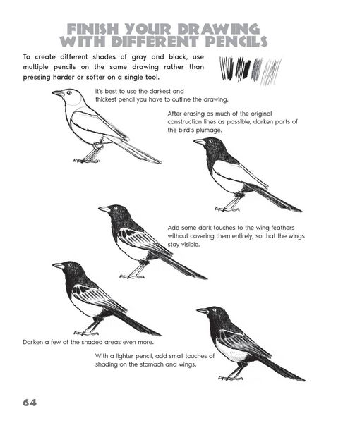 Produktbild: Drawing Animals