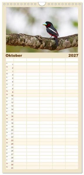 Produktbild: Familienplaner 2027 - Zwischen Nebel und Baumriesen - V&ouml;gel Borneos mit 5 Spalten (Wandkalender, 21 x 45 cm) CALVENDO