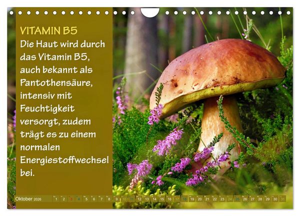 Produktbild: VITAMINE - Gesundheit aus der Natur (Wandkalender 2026 DIN A4 quer), CALVENDO Monatskalender