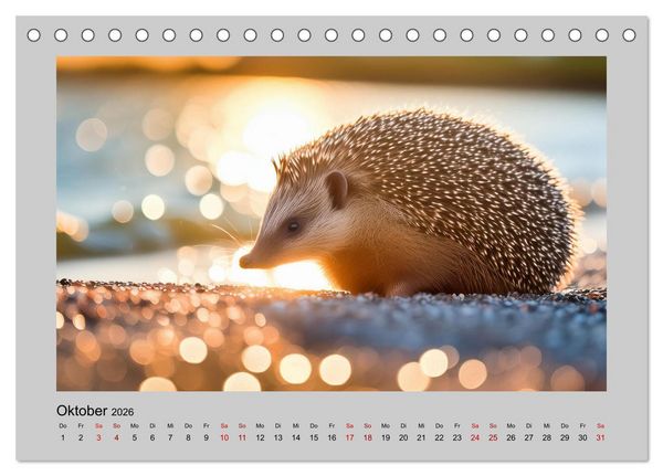 Produktbild: Mein Igel-Kalender (Tischkalender 2026 DIN A5 quer), CALVENDO Monatskalender