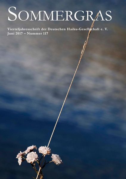 Produktbild: Sommergras 117