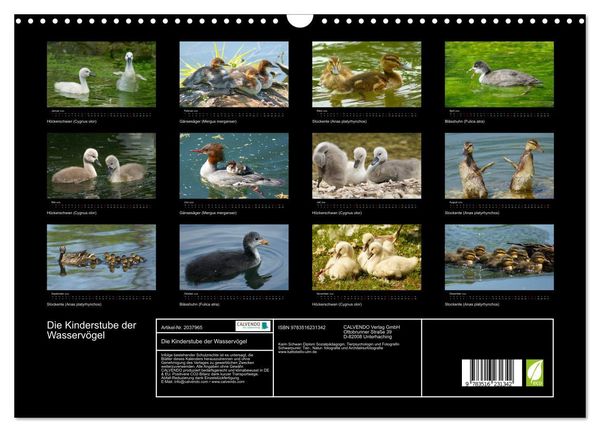 Produktbild: Die Kinderstube der Wasserv&ouml;gel (Wandkalender 2026 DIN A3 quer), CALVENDO Monatskalender