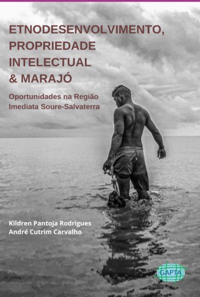 Produktbild: Etnodesenvolvimento, Propriedade Intelectual & Maraj&oacute;